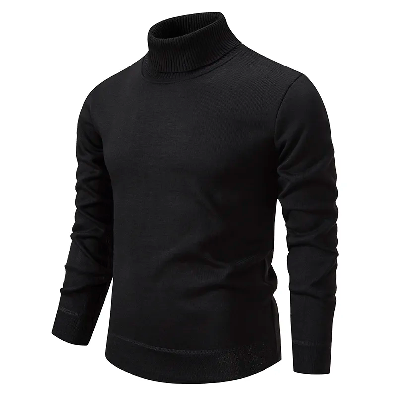 Torin | Turtleneck Sweater