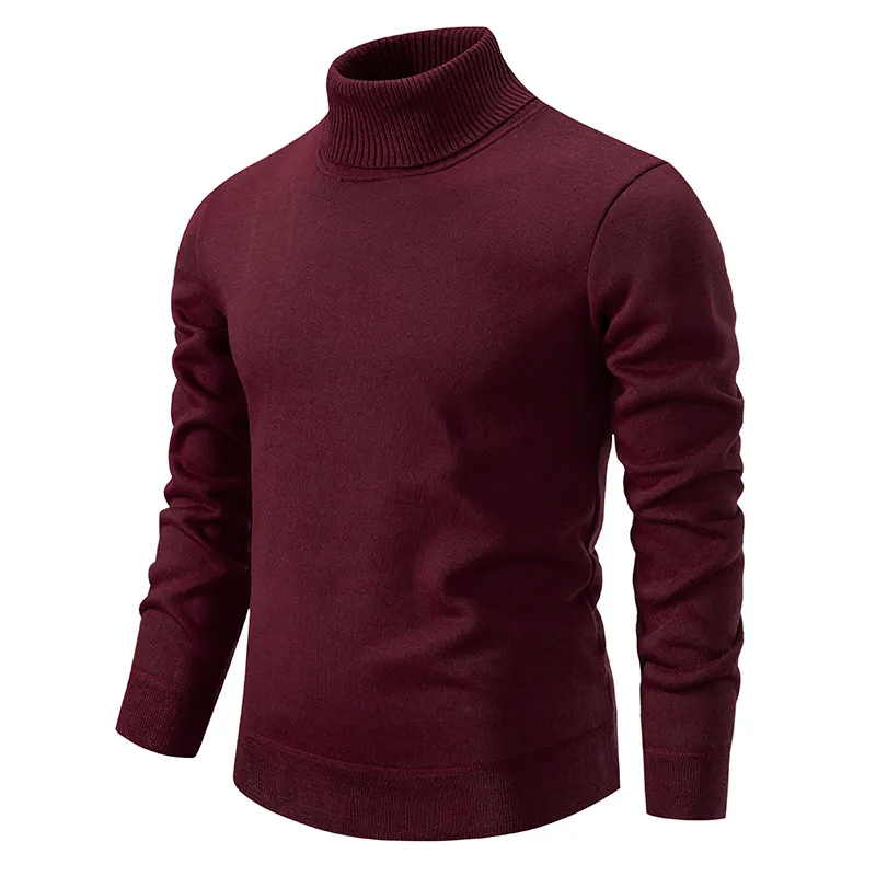 Torin | Turtleneck Sweater